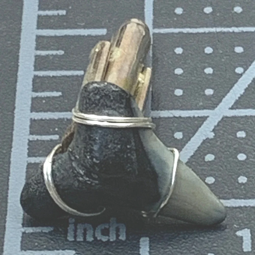 Shark Tooth Cufflinks Silver Tone Wire‎ Wrapped Nautical Gift